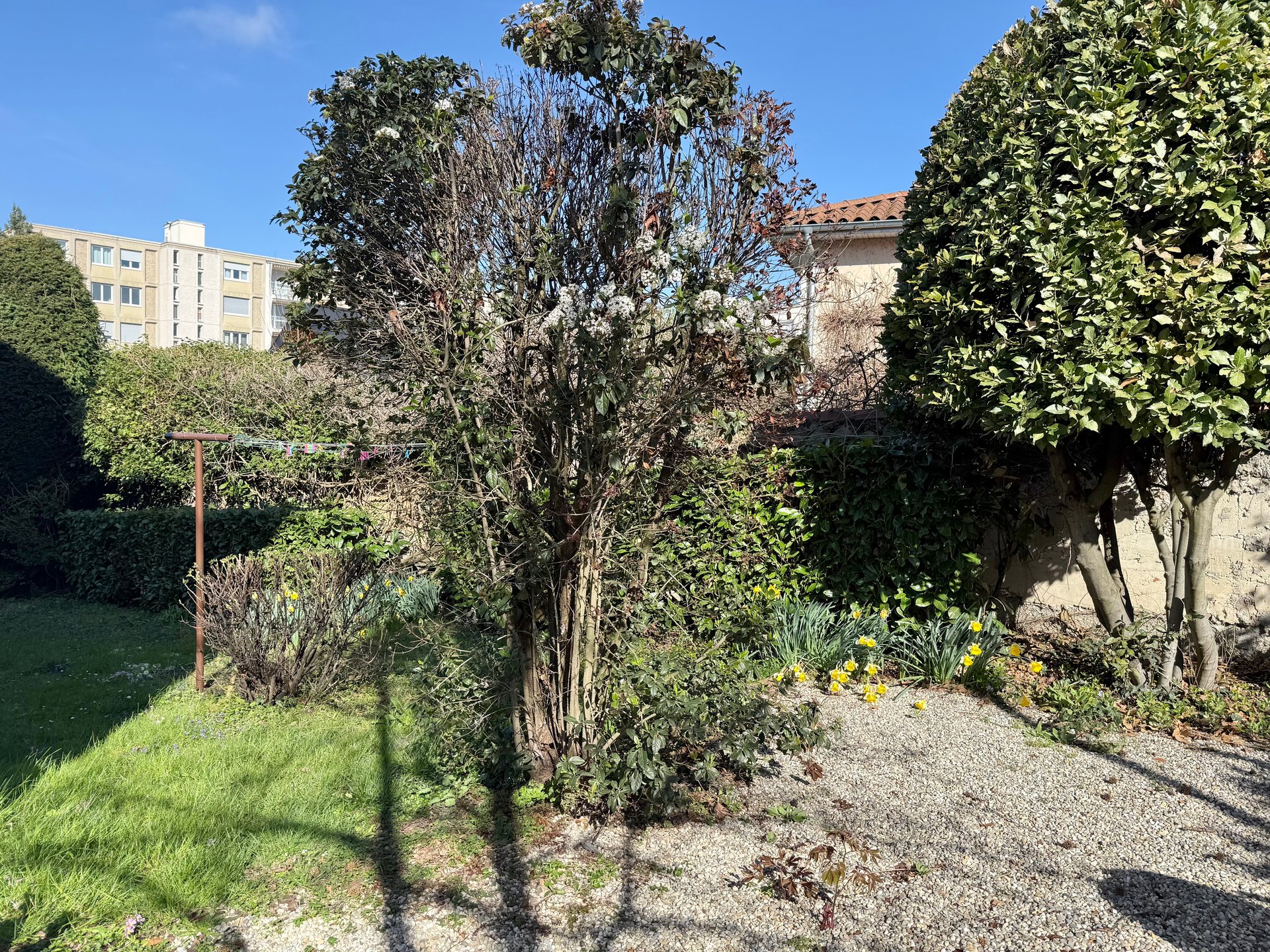 Espace commun — vue 19